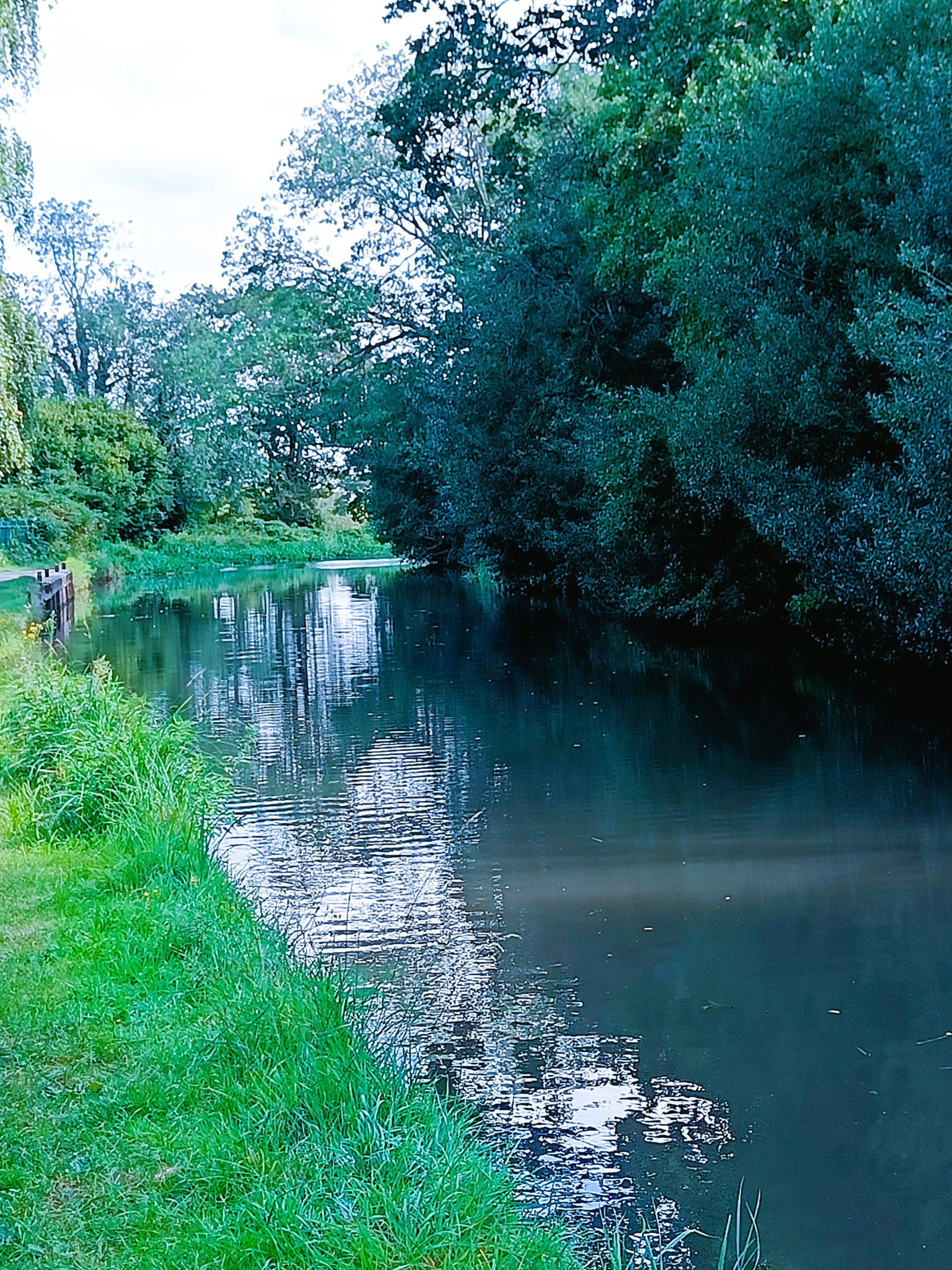 Wey Navigation